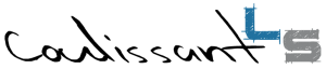 Logo-coulissant-LS